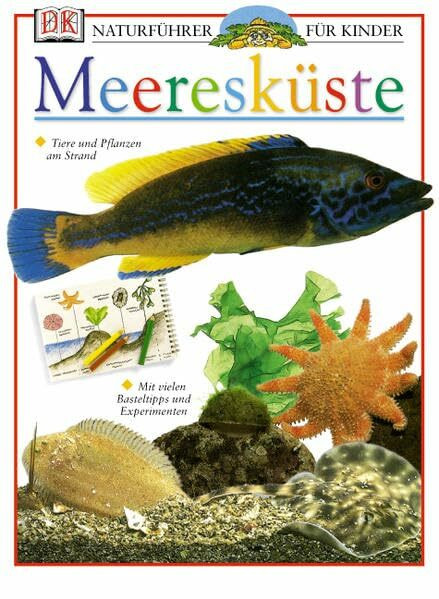 Meeresküste