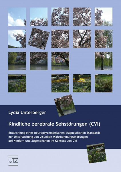Kindliche zerebrale Sehstörungen (CVI): Entwicklung eines neuropsychologischen diagnostischen Standards zur Untersuchung von visuellen ... Jugendlichen im Kontext von CVI (Psychologie)