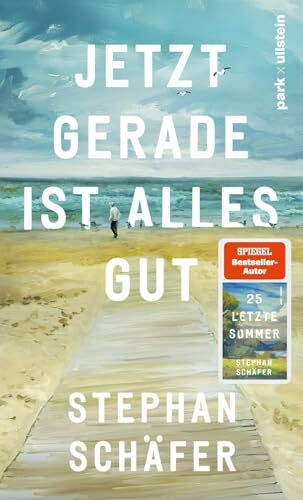 Jetzt gerade ist alles gut: Nach dem SPIEGEL-Bestseller "25 letzte Sommer" - der neue Roman von Erfolgsautor Stephan Schäfer