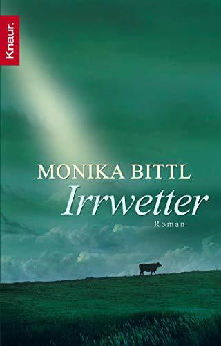 Irrwetter: Roman