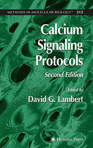 Calcium Signaling Protocols (Methods in Molecular Biology, 312, Band 312)