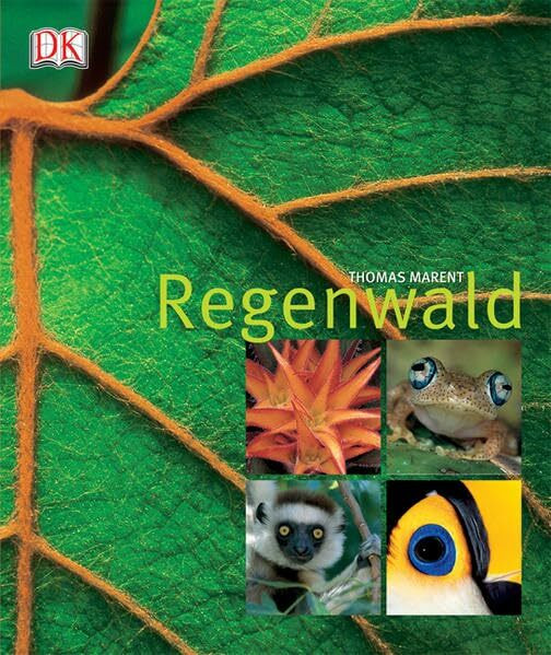 Regenwald