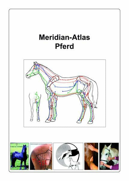 Akupunkt-Massage nach Penzel am Pferd: Meridian-Atlas Pferd