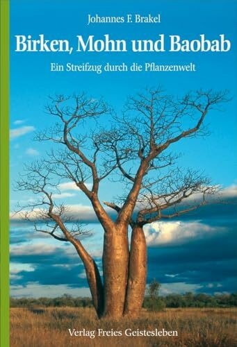 Birken, Mohn und Baobab: Ein Streifzug durch die Pflanzenwelt