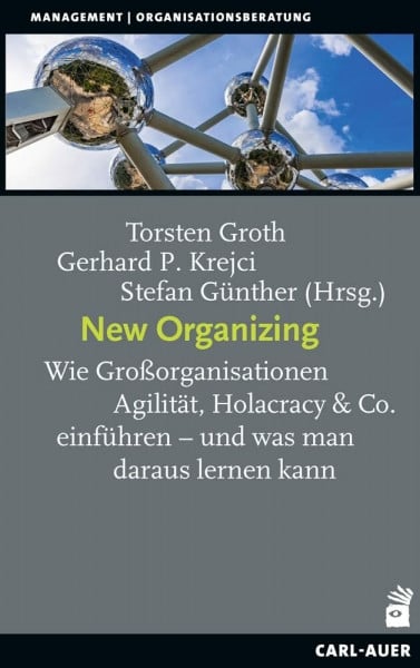 New Organizing: Wie Großorganisationen Agilität, Holacracy & Co. einführen – und was man daraus lernen kann (Management und Organisationsberatung)