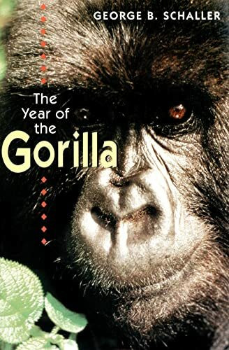 The Year of the Gorilla: An Exploration
