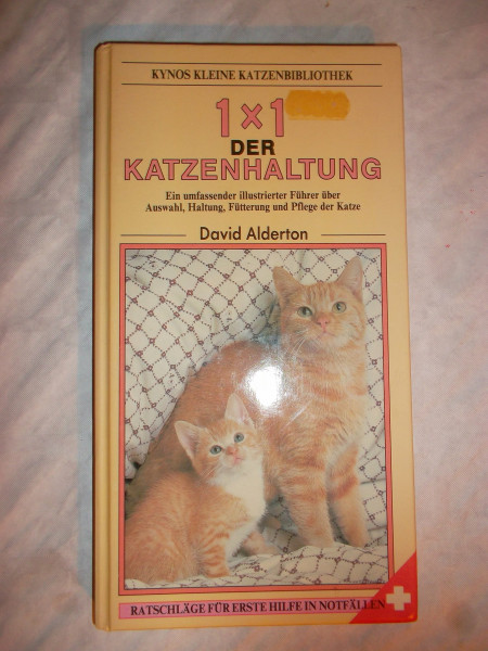 1 x 1 der Katzenhaltung