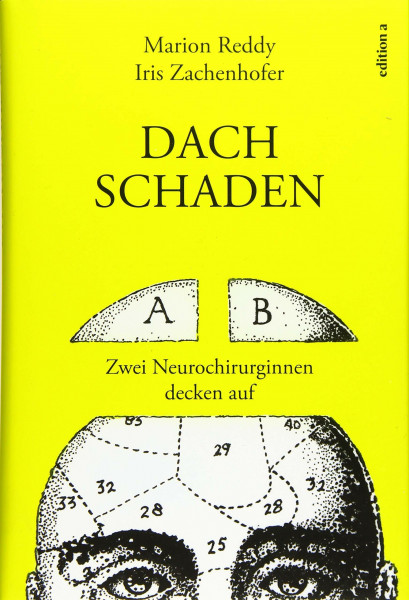 Dachschaden