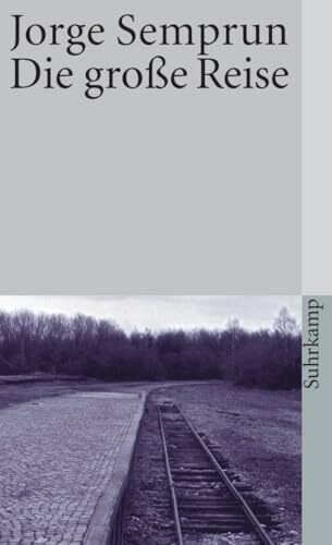 Die große Reise: Roman (suhrkamp taschenbuch)