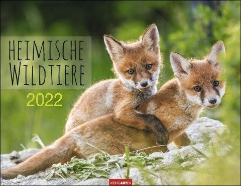 Heimische Wildtiere Kalender 2022