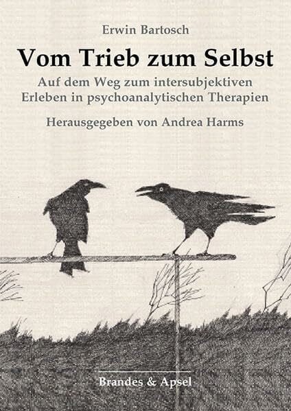 Vom Trieb zum Selbst: Auf dem Weg zum intersubjektiven Erleben in psychoanalytischen Therapien