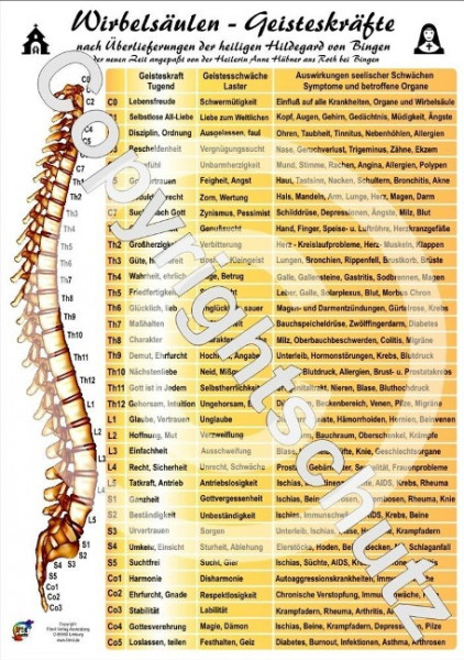 Wirbelsäulen-Geisteskräfte Übersichtskarte DIN A4