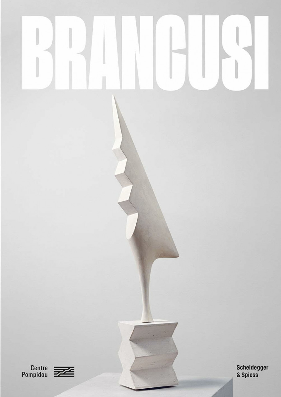 Brancusi - gebunden - Bild 5