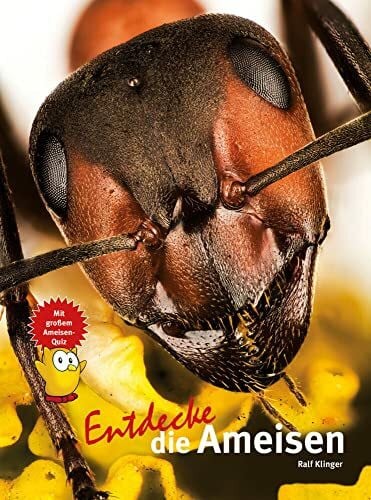 Entdecke die Ameisen (Entdecke - Die Reihe mit der Eule: Kindersachbuchreihe)