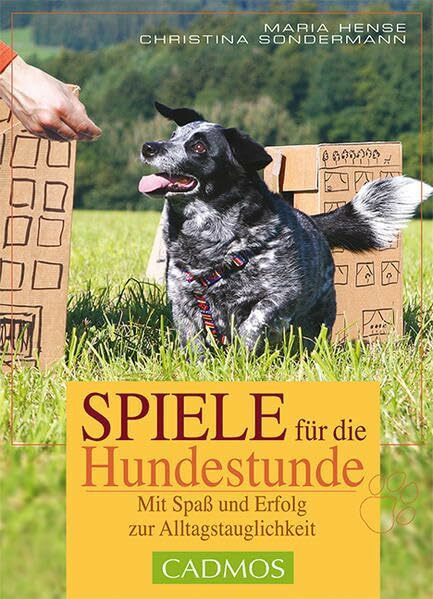 Spiele für die Hundestunde: Spaß und Erfolg mit Übungen zur Alltagstauglichkeit (Cadmos Hundebuch)