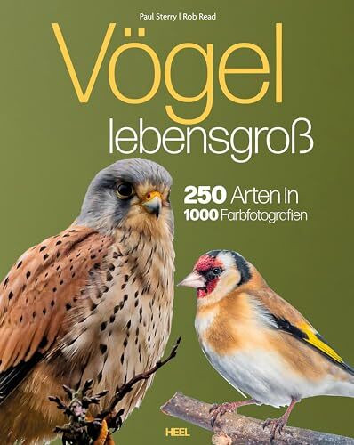 Vögel lebensgroß: 250 Arten in 1000 Farbfotografien. Vögel in Lebensgröße Bildband im Großformat