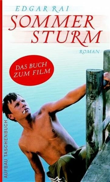 Sommersturm: Der Roman zum Film (Aufbau Taschenbücher)