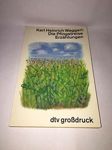 Die Pfingstreise: Erzählungen (dtv großdruck)