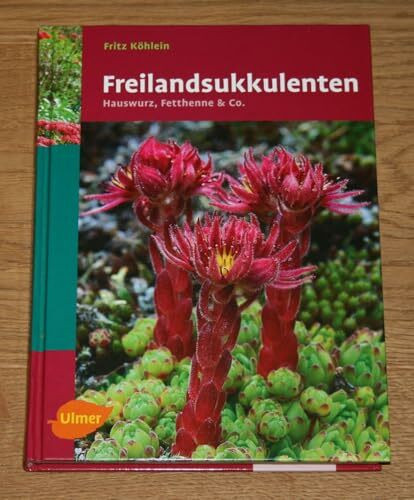 Freilandsukkulenten: Hauswurz, Fetthenne & Co. (Pflanzen-Monographien)