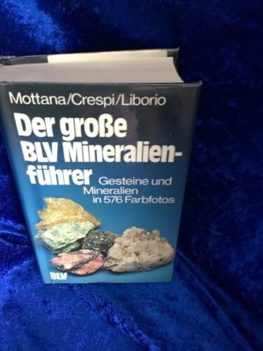 Der grosse BLV-Mineralienführer : Gesteine und Mineralien in 576 Farbfotos. "Minerali e rocce".