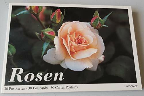 Rosen. 30 Postkarten /30 Postcards /30 Cartes Postales