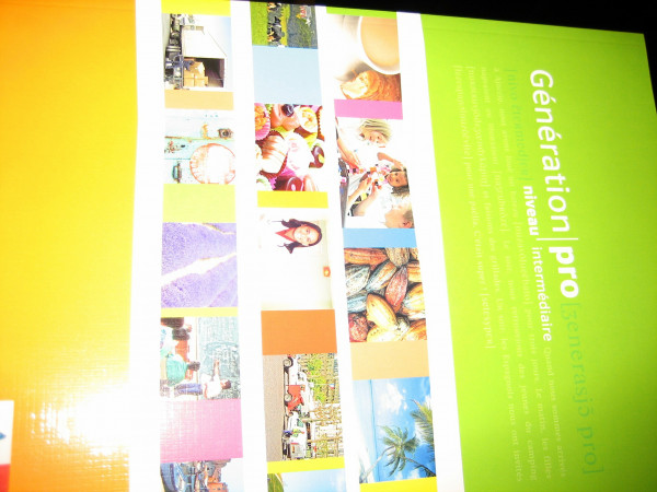 Génération pro niveau intermédiaire: Schulbuch 2. Lernjahr: Französisch für berufsbildende Schulen und spätbeginnende Fremdsprache (Génération pro. ... der gymnasialen Oberstufe. Ausgabe ab 2008)