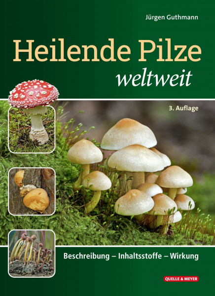 Heilende Pilze weltweit: Beschreibung – Inhaltsstoffe – Wirkung