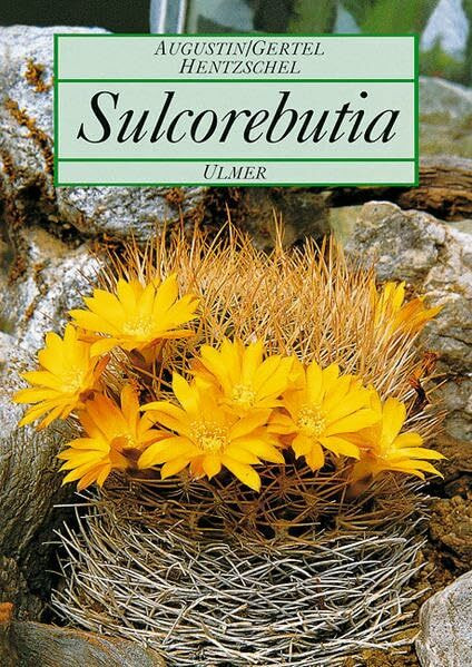 Sulcorebutia: Kakteenzwerge der bolivianischen Anden (Pflanzen-Monographien)