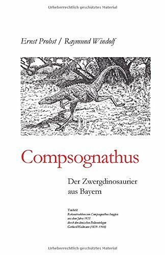 Compsognathus: Der Zwergdinosaurier aus Bayern