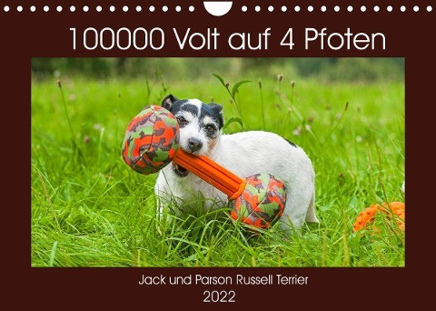 100000 Volt auf vier Pfoten - Jack und Parson Russell Terrier (Wandkalender 2022 DIN A4 quer)
