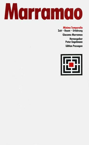 Minima Temporalia. Zeit - Raum - Erfahrung (Passagen Philosophie)