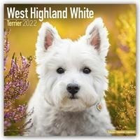 West Highland White Terriers - Westies 2022 - 18-Monatskalender mit freier DogDays-App