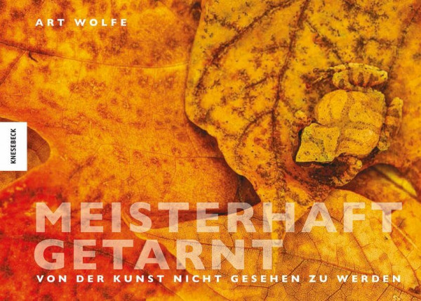 Meisterhaft getarnt: Von der Kunst nicht gesehen zu werden