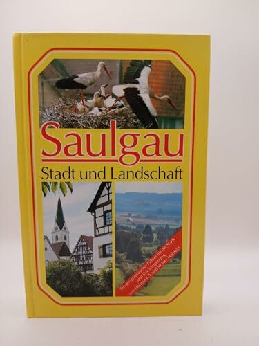 Saulgau Stadt und Landschaft