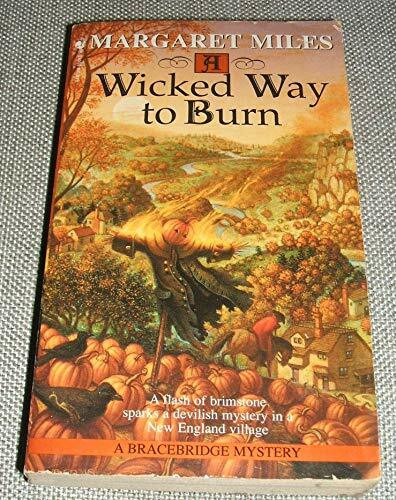 A Wicked Way to Burn (Bracebridge Mystery, Band 1)