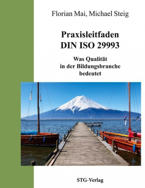 Praxisleitfaden DIN ISO 29993