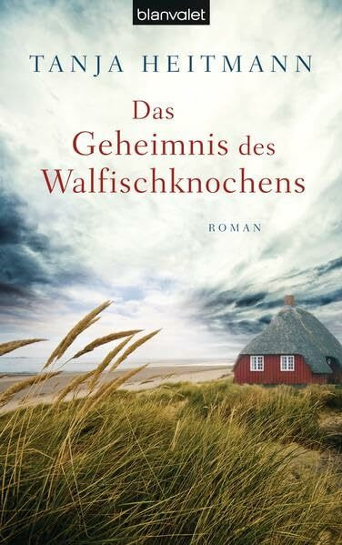 Das Geheimnis des Walfischknochens: Roman