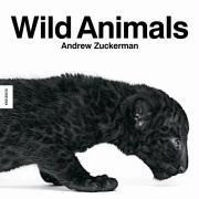 Wild Animals