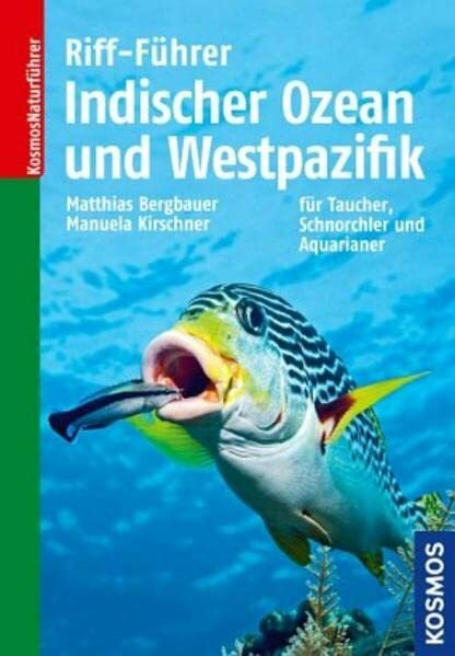 Riff-Führer Indischer Ozean und Westpazifik