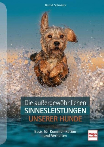 Die außergewöhnlichen Sinnesleistungen unserer Hunde: Basis für Kommunikation und Verhalten