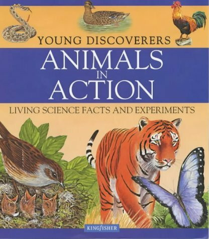 Animals in Action (Young Discoverers S.)