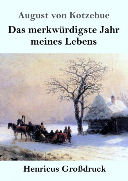 Das merkwürdigste Jahr meines Lebens (Großdruck)