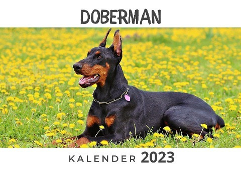 Doberman