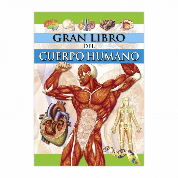 El gran libro del cuerpo humano