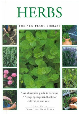 Herbs: The New Plant Library (Little Plant Library)