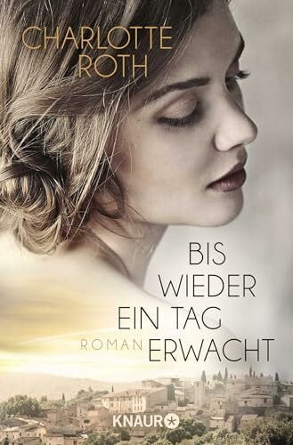 Bis wieder ein Tag erwacht: Roman