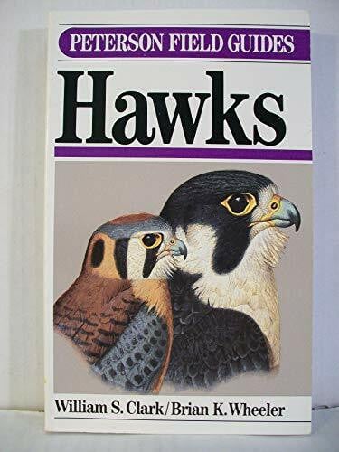 Field Guide to Hawks (Peterson Field Guides)