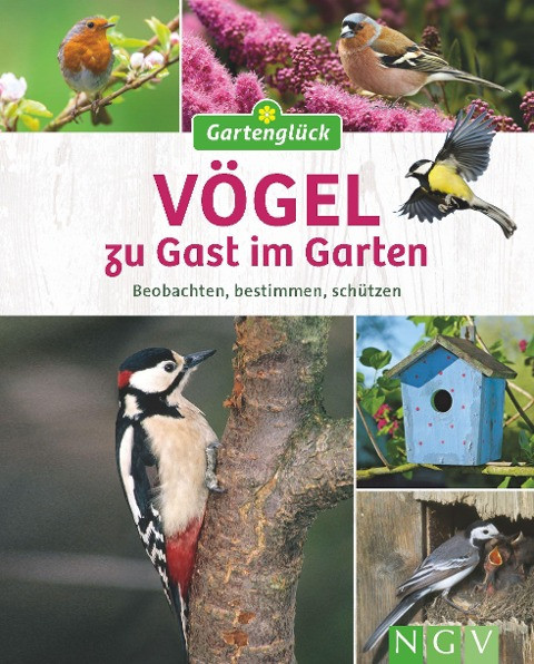 Vögel zu Gast im Garten