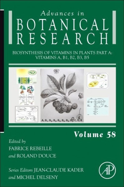 Biosynthesis of Vitamins in Plants