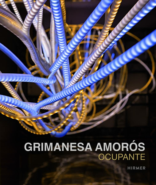 Grimanesa Amorós. Ocupante: Zur Ausstellung im Ludwig Museum Koblenz